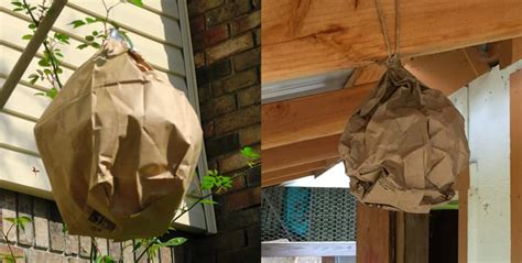 fake hornets nest paper bag|paper bag hornets.